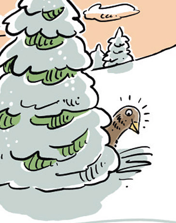 Winterknigge