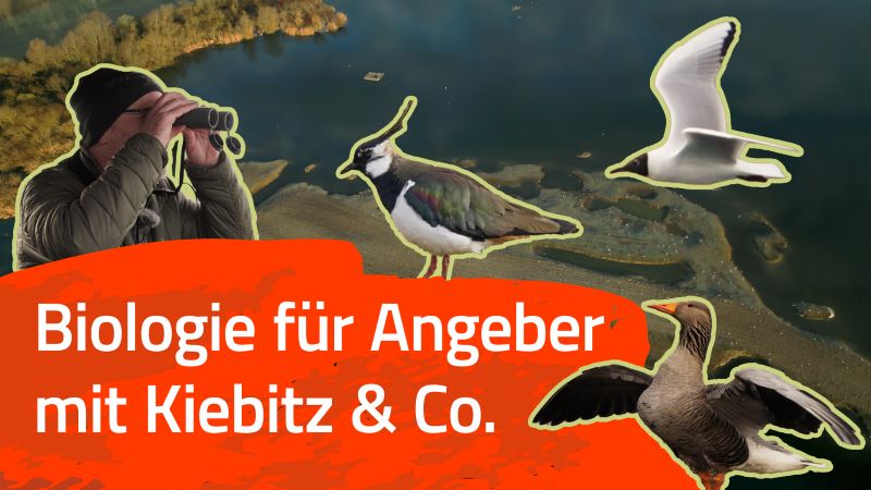 Am Plessenteich unterwegs mit der natur.digital-App