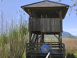 Stempelstation am Beobachtungsturm Irschener Winkel