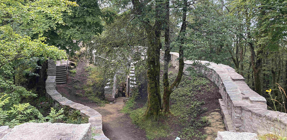 Naturreservat Waldstein: Copyright Christian Kreipe