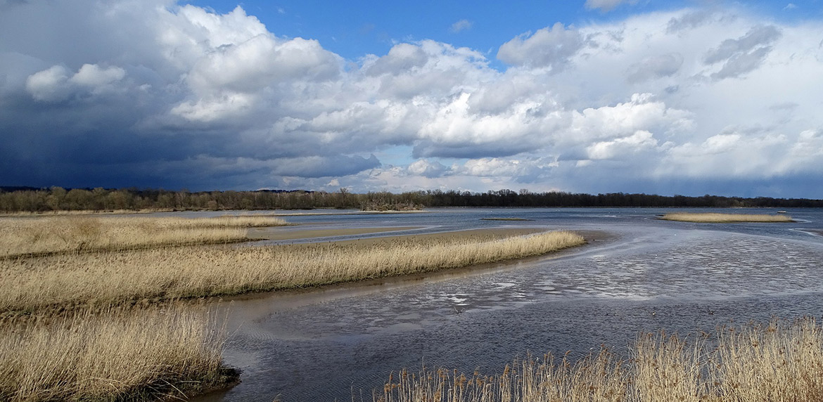 Das Bild zeigt den Echinger Stausee