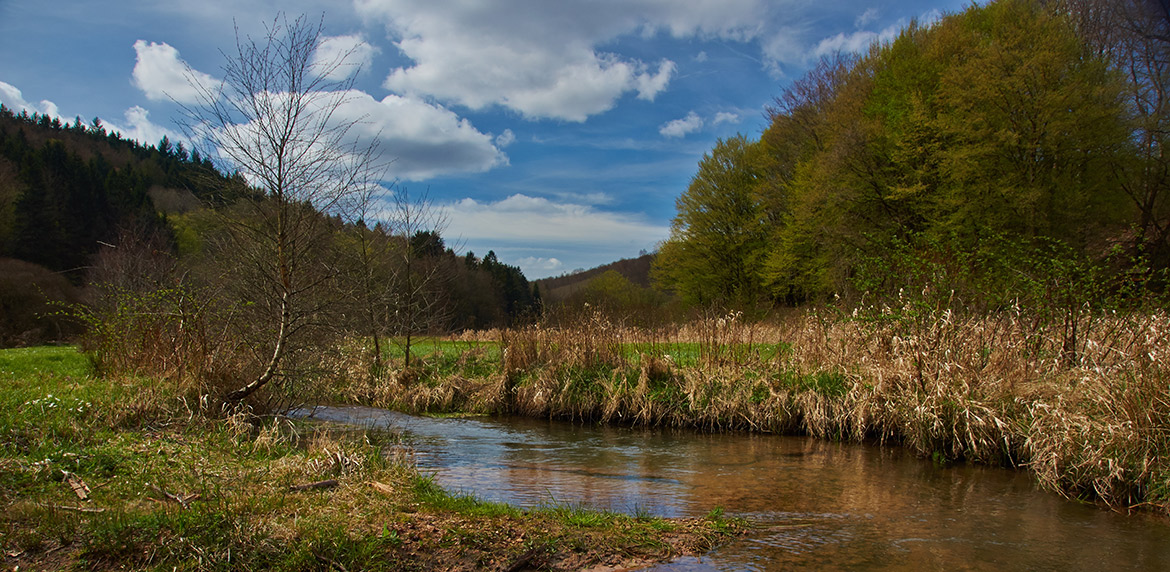 Das Bild zeigt den Fluss im Hafenlohrtal