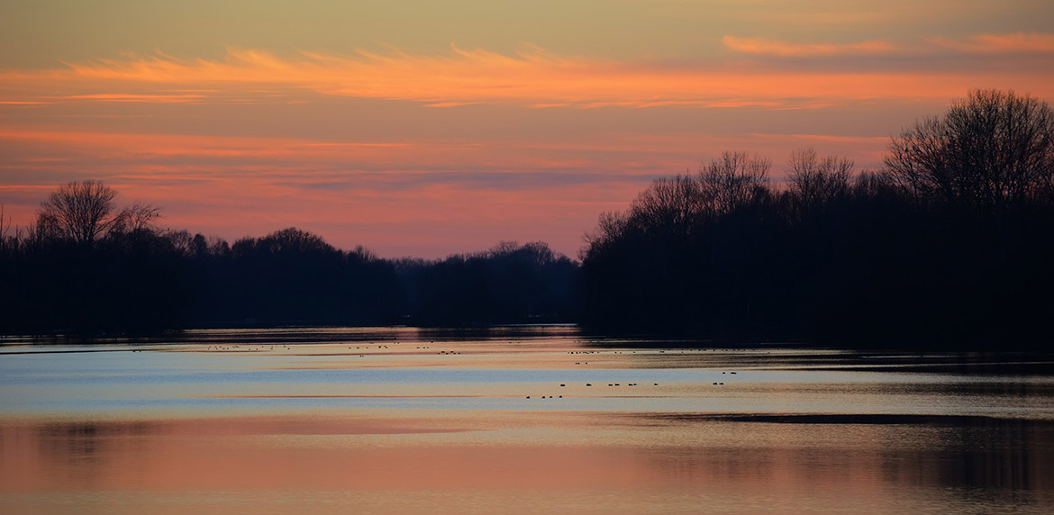 Das Bild zeigt die Flusslandschaft Isarmündung bei Sonnenuntergang