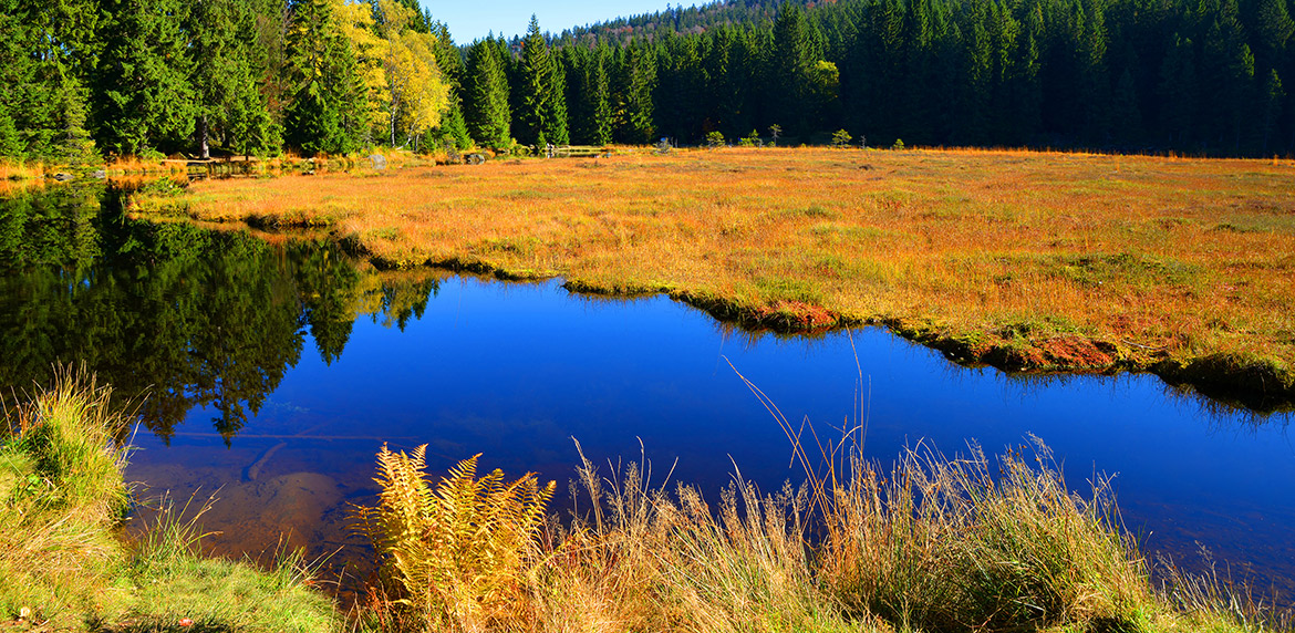 Arbersee in Herbststimmung