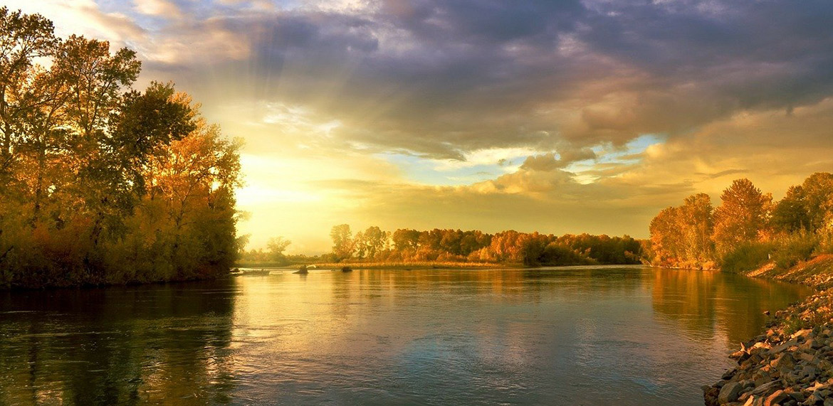 Das Bild zeigt die Mainauen bei Sonnenuntergang