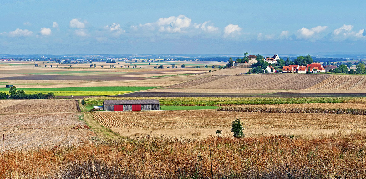 Das Bild zeigt die Ruine der Luisenburg