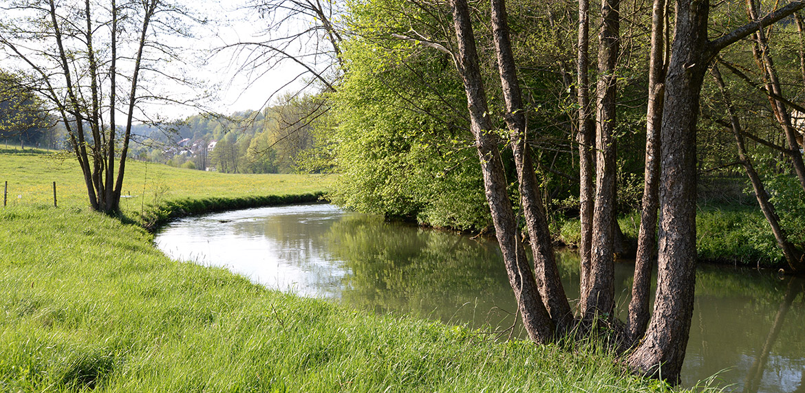 Das Bild zeigt die Pegnitz im Herbst