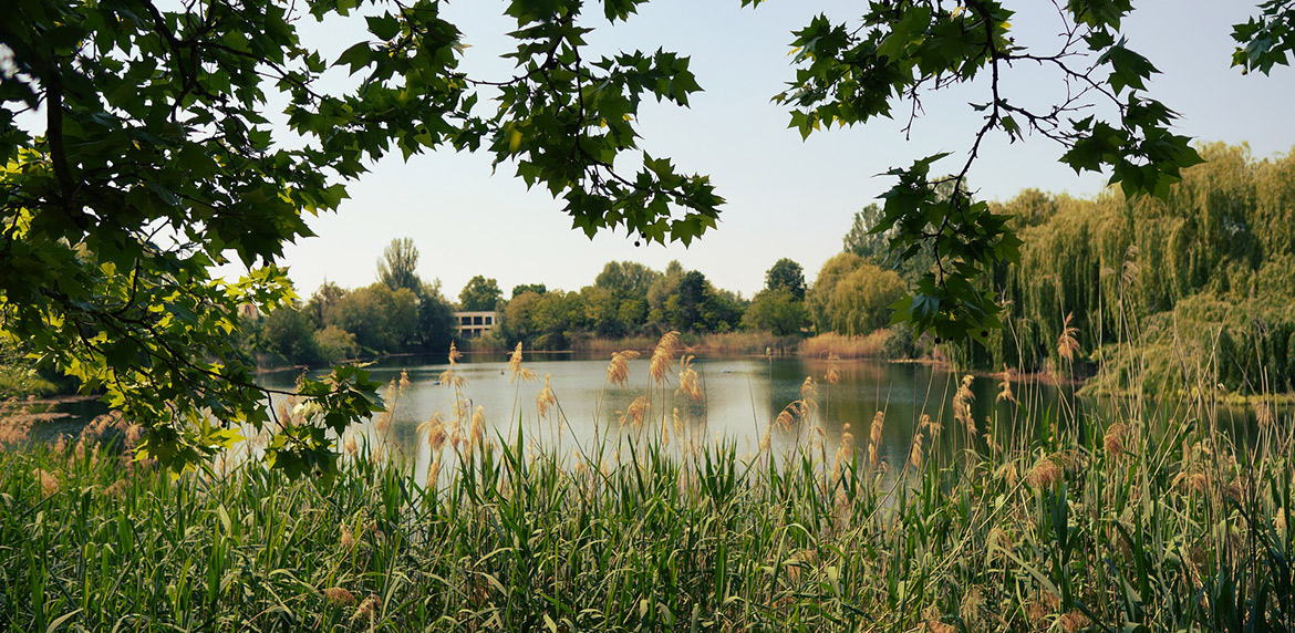 Das Bild zeigt den Russweiher