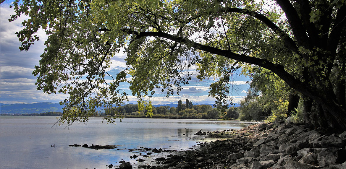 Das Bild zeigt die Wasserburger Bucht am Bodensee